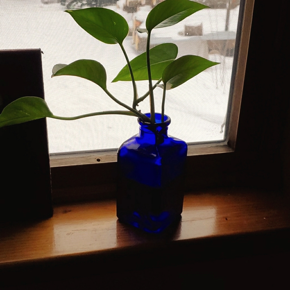 Meet your Posher, Jeanne